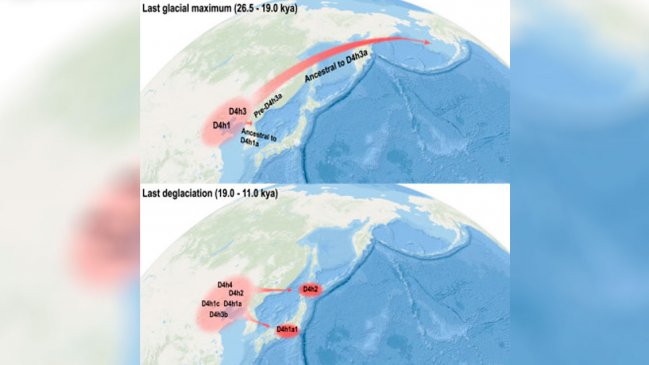 Nuevo estudio encuentra migraciones prehistóricas de China a Américas