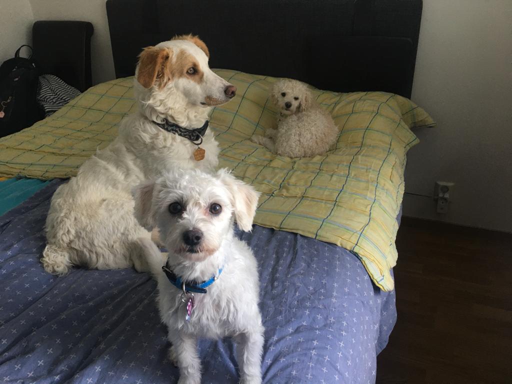 Imagen foto_00000002