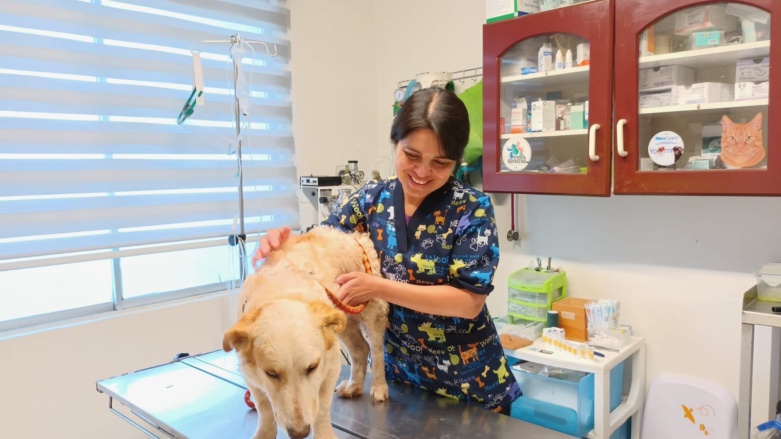 Imagen foto_00000003