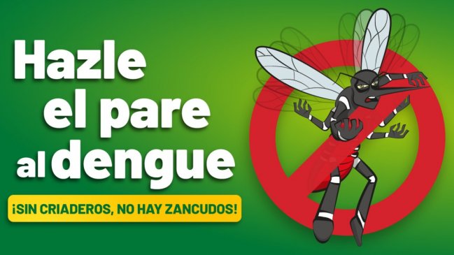   Perú declaró emergencia sanitaria en 20 de sus 25 regiones por brote de dengue 