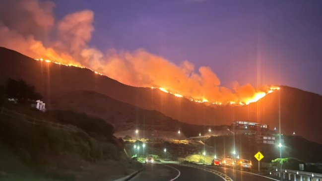  Sigue el combate del incendio en Zapallar y Papudo: Presenta poca actividad y sin avance  