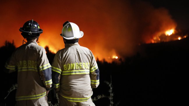  Senapred decretó alerta amarilla por simultaneidad de incendios forestales en el Maule  