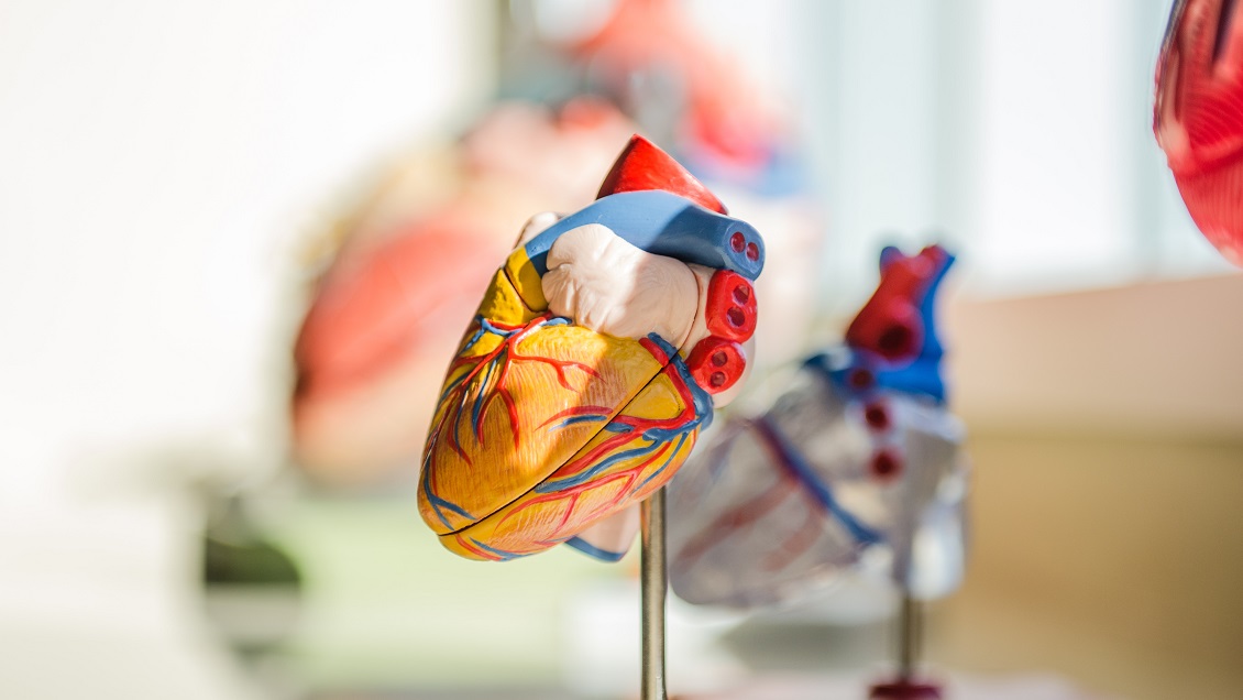 Por primera vez en el mundo trasplantan un corazón que había dejado de latir 20 minutos