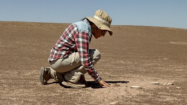 Hallan en el Tamarugal los restos fósiles de un antepasado del perro de hace 14.000 años