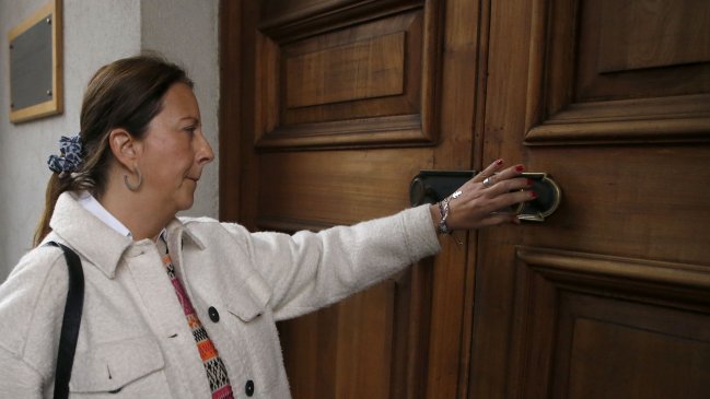 Tras polémicas declaraciones: Piergentili negó que el PPD evalúe dejar el oficialismo