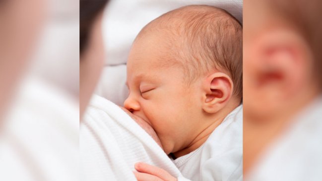   El ácido graso de la leche materna es esencial para activar el corazón del neonato 