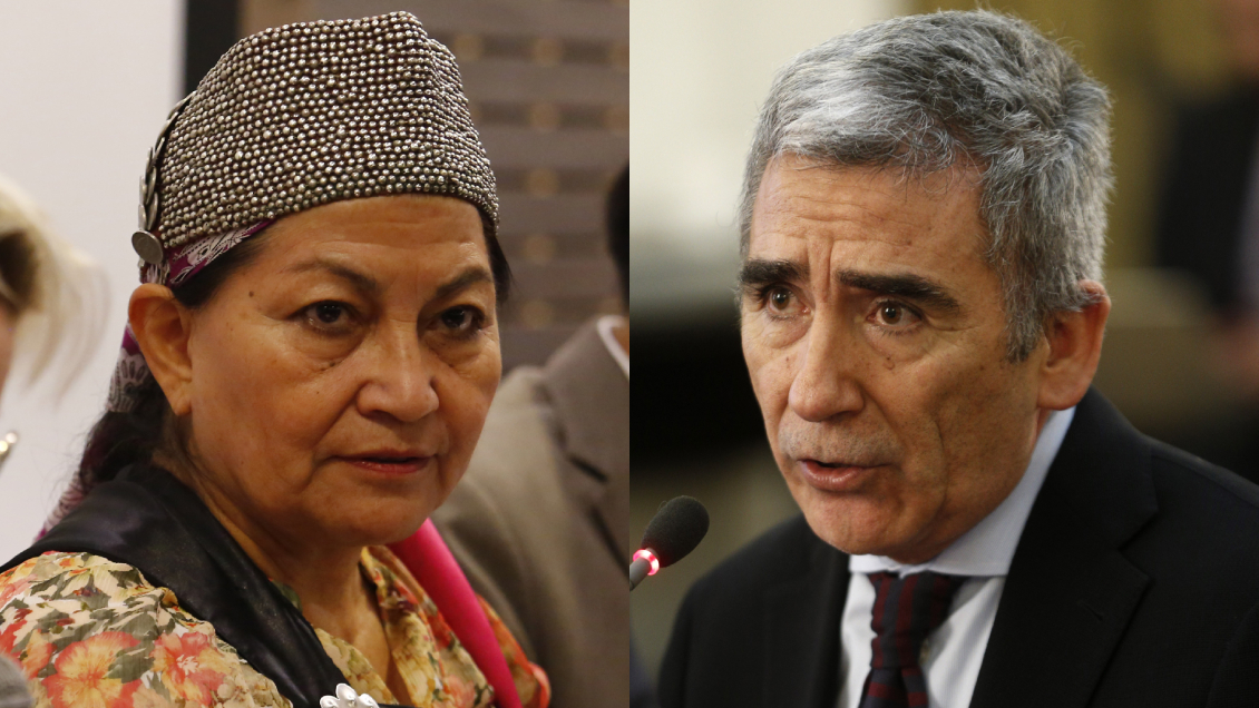 Rector Peña defendió a Elisa Loncon: 