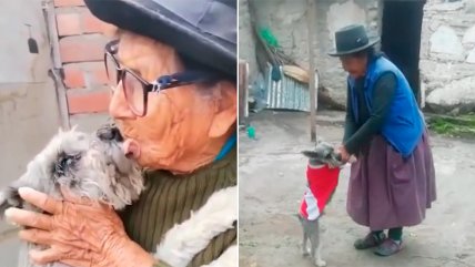  Mujer de 103 años se reencuentra con su perrito perdido  