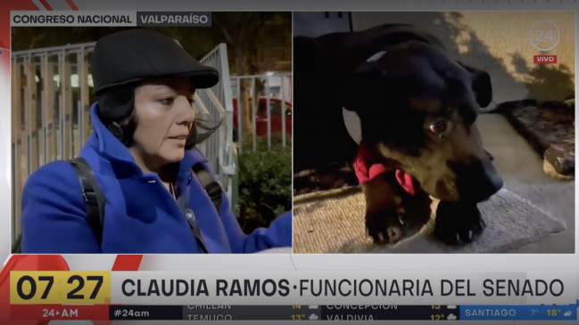 Funcionaria del Senado puso corbatines a perritos en la Cuenta Pública 