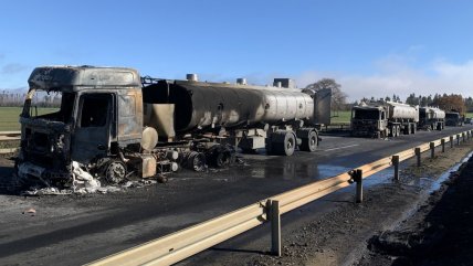  Boric por Macrozona Sur: 