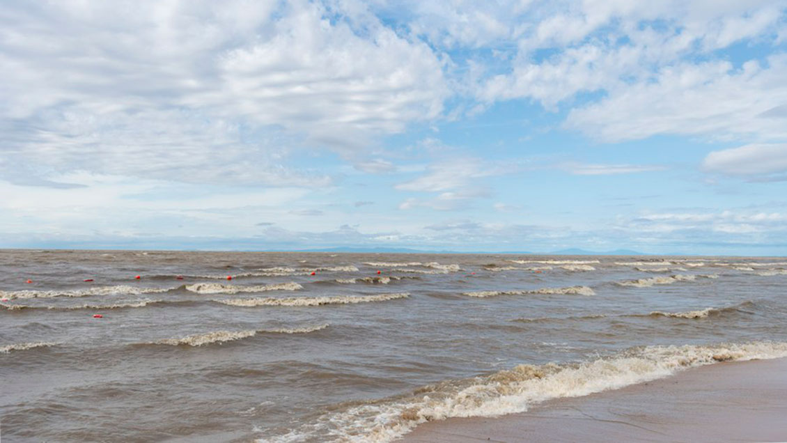 Liberan más de cinco millones de alevines de peces en mayor lago de agua dulce del noreste de China