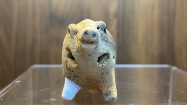 Hallan en China rara figura de un cerdo de hace 6.000 años que pudo ser el juguete de un niño