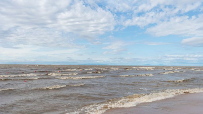 Liberan más de cinco millones de alevines de peces en mayor lago de agua dulce del noreste de China