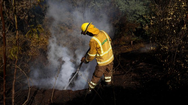  Brigadistas chilenos viajarán a Canadá para combatir los incendios forestales  