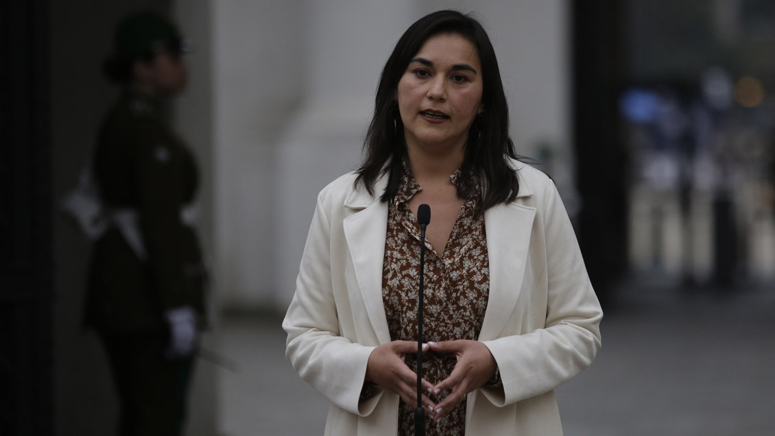 Izkia Siches recomendó, en un chat del Colegio Médico, 