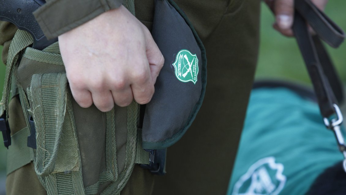 Dos armas de fuego fueron sustraídas desde los almacenes generales de Carabineros