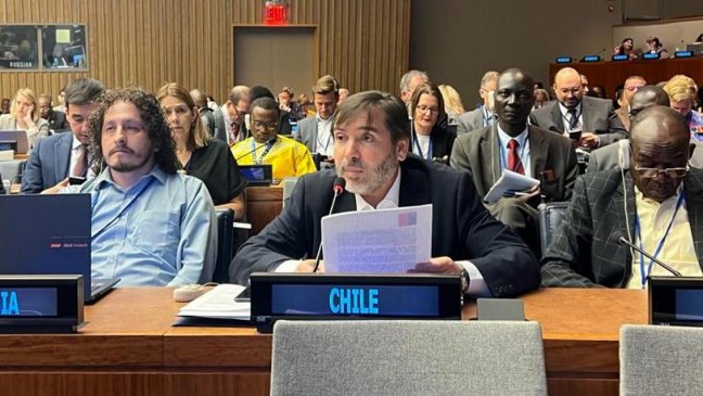  Chile participa en conferencia sobre cambio climático y discapacidad  