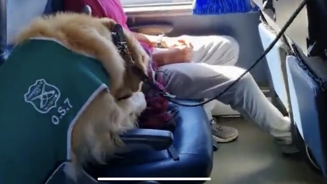 Cinco años y un día de cárcel para traficante sorprendido con drogas en fiscalización a bus en Mostazal