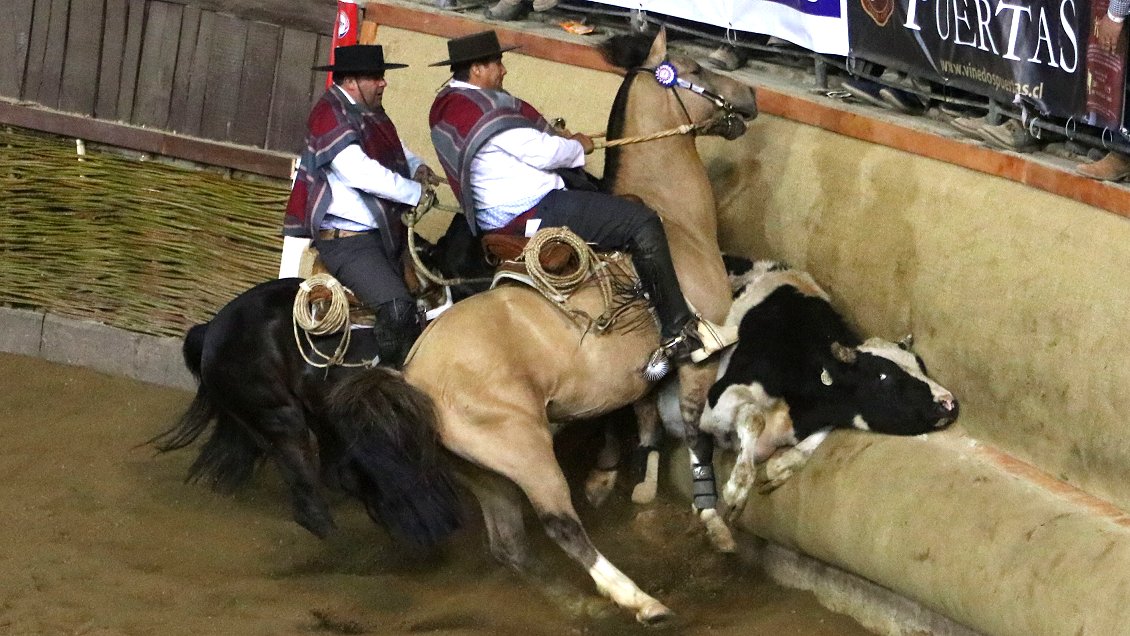 Congreso tramita proyecto que declara 