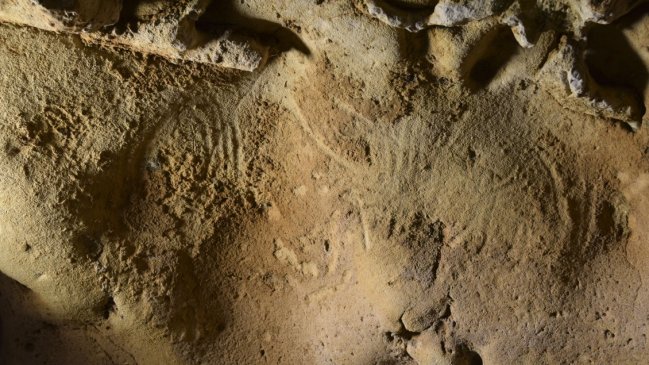 Hallan el grabado neandertal más antiguo en la pared de una cueva en Francia  
