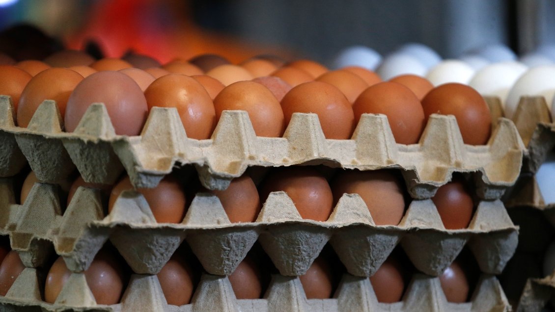 Contrabando de huevos aumentó 136 por ciento en lo que va del 2023