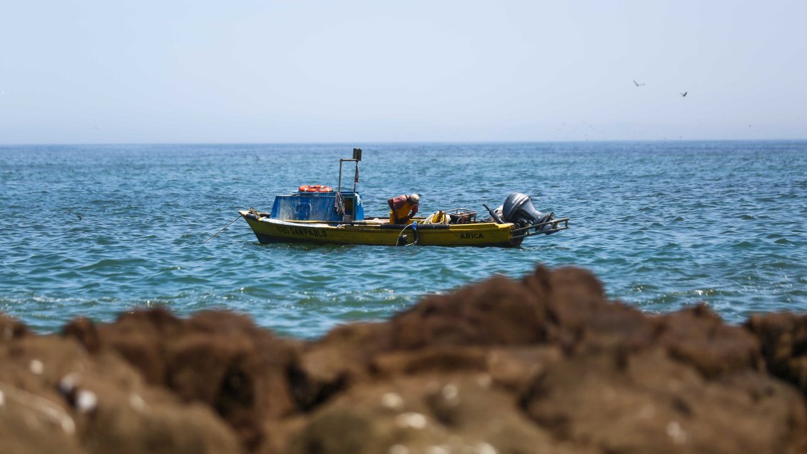 Por escasez de peces, artesanales piden declarar zona de catástrofe en Arica
