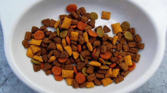 Millonario robo afectó a bodega de comida para mascotas en Santiago