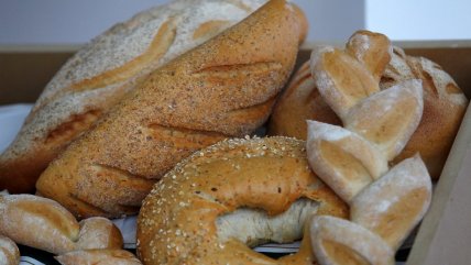   Panadería de Licantén busca llevar el alimento a 