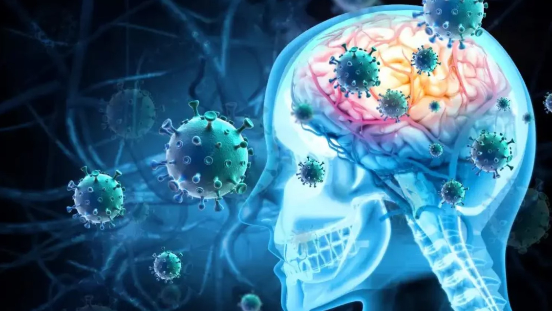 Siete muertos por meningitis fúngica en EEUU: Se relacionan a cirugías hechas en México