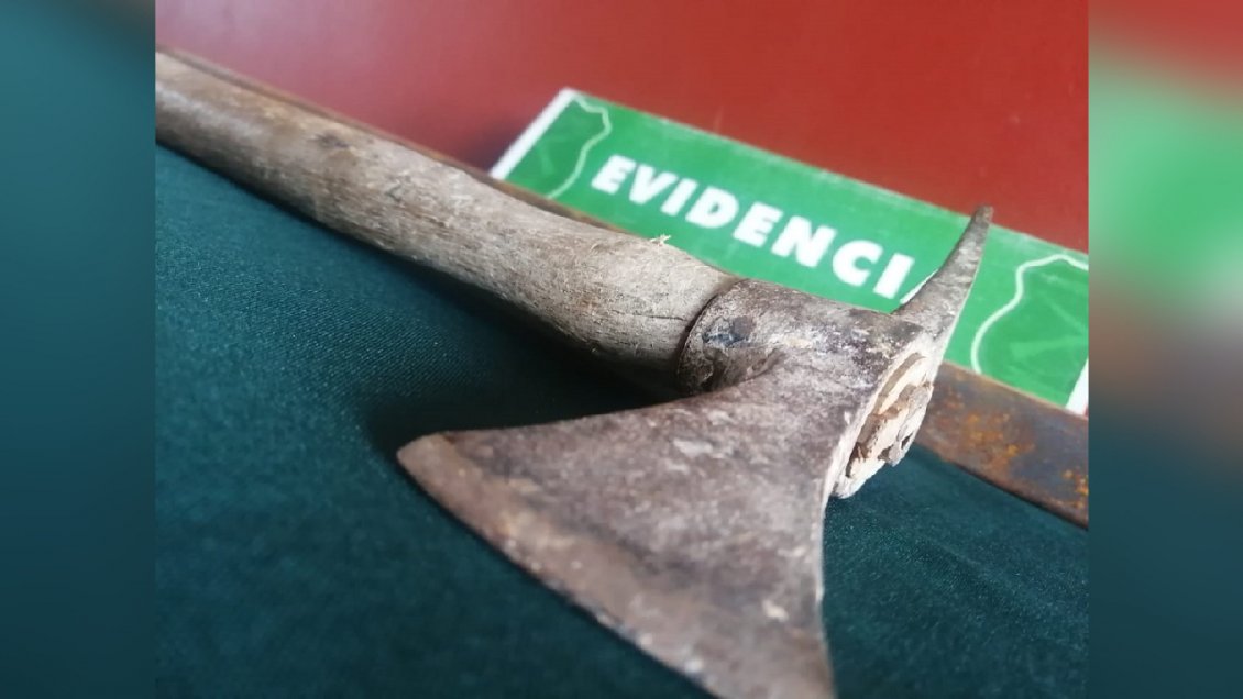 La Serena: Sujeto atacó con un hacha a su madre y a carabineros