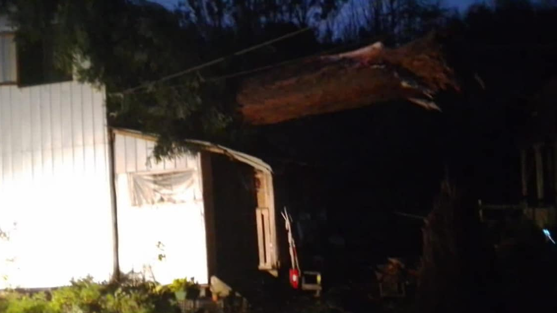 Caída de árbol sobre vivienda dejó dos lesionados en Llanquihue