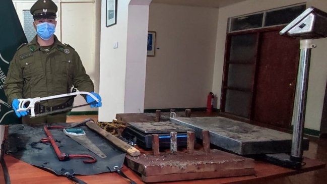 Tres detenidos dejó desmantelamiento de matadero ilegal en Traiguén