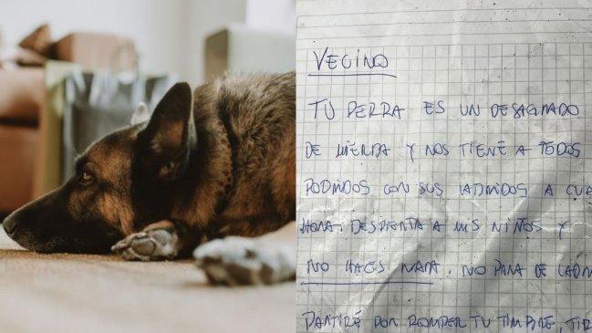  Familia de Vitacura denuncia violentas amenazas por su perrita  