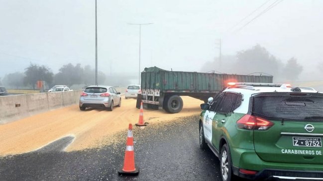 Accidente de camión llenó la Ruta 5 Sur de maíz a la altura de Mostazal