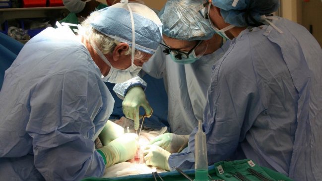   Trasplantes: Nuevo procuramiento de órganos en Puerto Montt beneficiará a tres personas en lista de espera 