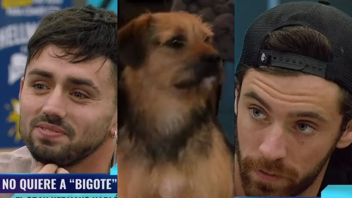 Caso Bigote: Seguidores de Gran Hermano se indignan por nula sanción y llaman a no ver el reality