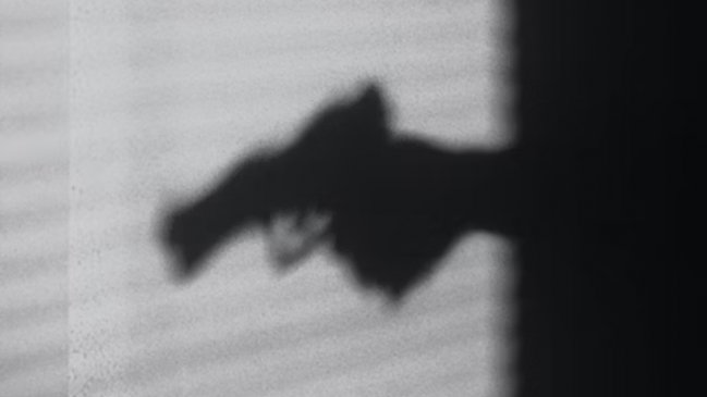 Guagua de un año murió por disparo accidental de su hermano de tres en EEUU