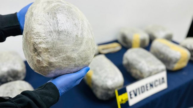 PDI incautó más de 14 mil dosis de drogas en el Valle de Azapa