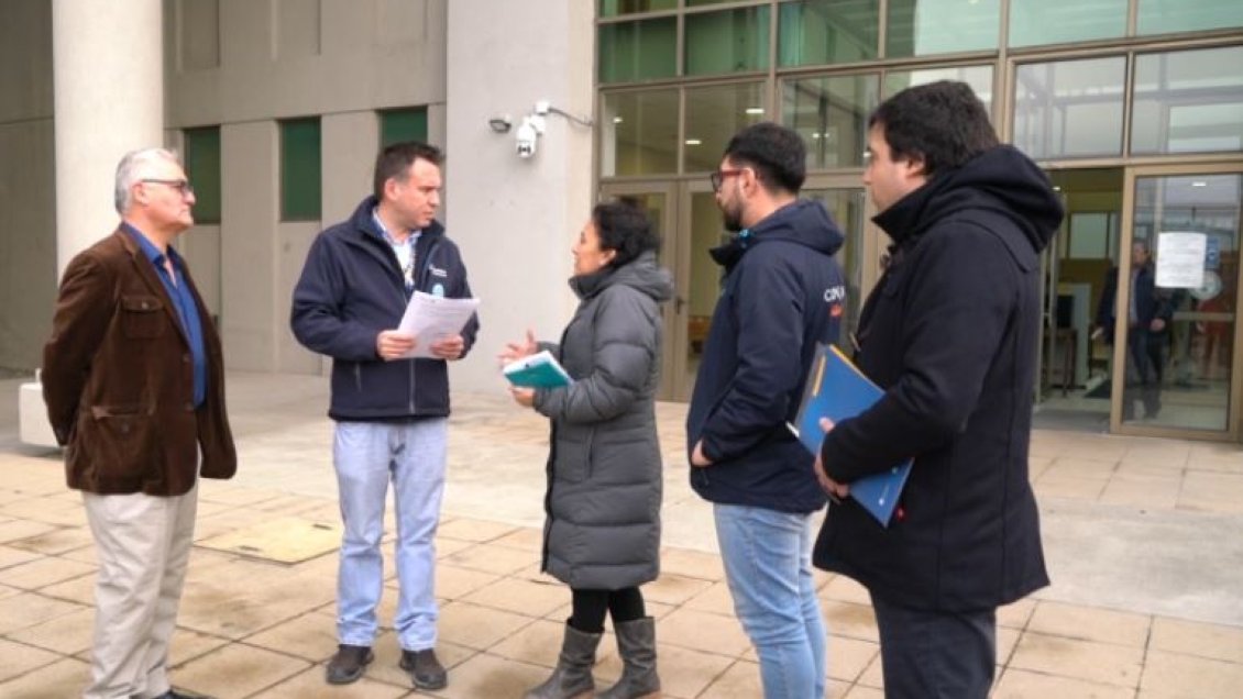 Punta Arenas: Alcalde Radonich interpuso querellas por múltiples ataques de perros