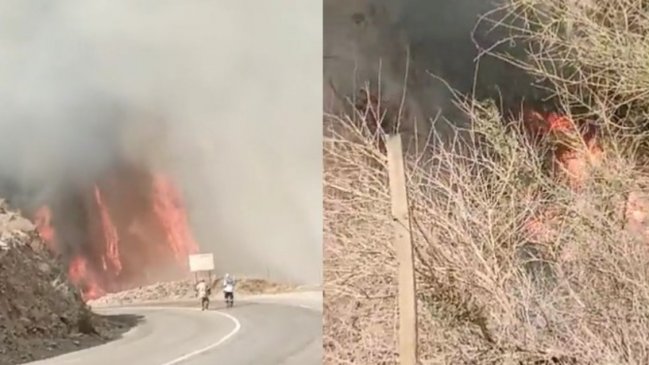 Atacama: Incendio forestal provoca la evacuación de sectores en Alto del Carmen