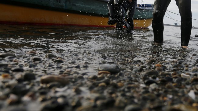 Puerto Montt: Mariscadores que desaparecieron tras crecida de la marea fueron hallados muertos