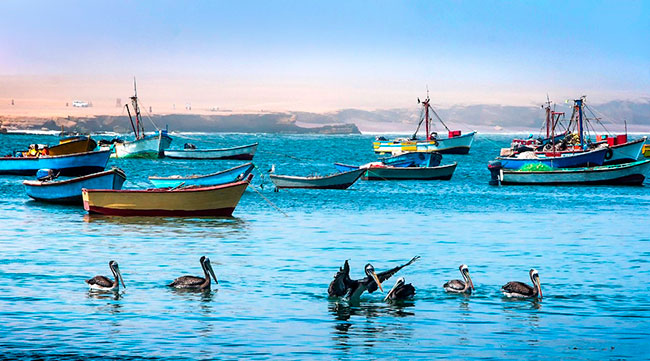 Imagen foto_00000003