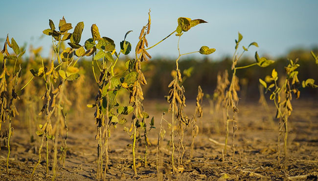 Imagen foto_00000004