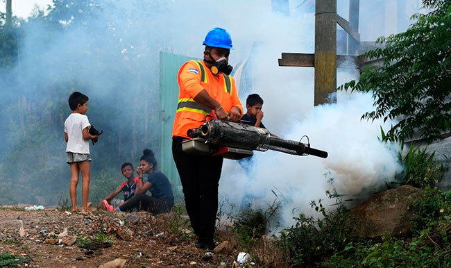 Imagen foto_00000010