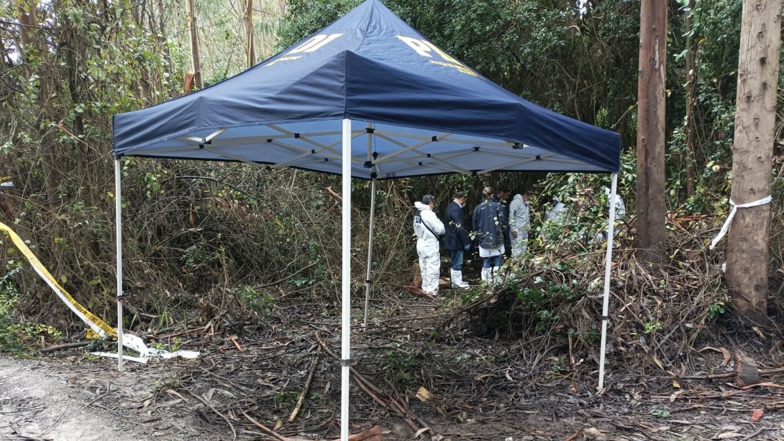 Lugareño encontró un cuerpo decapitado al interior de un Santuario de la Naturaleza en el Biobío