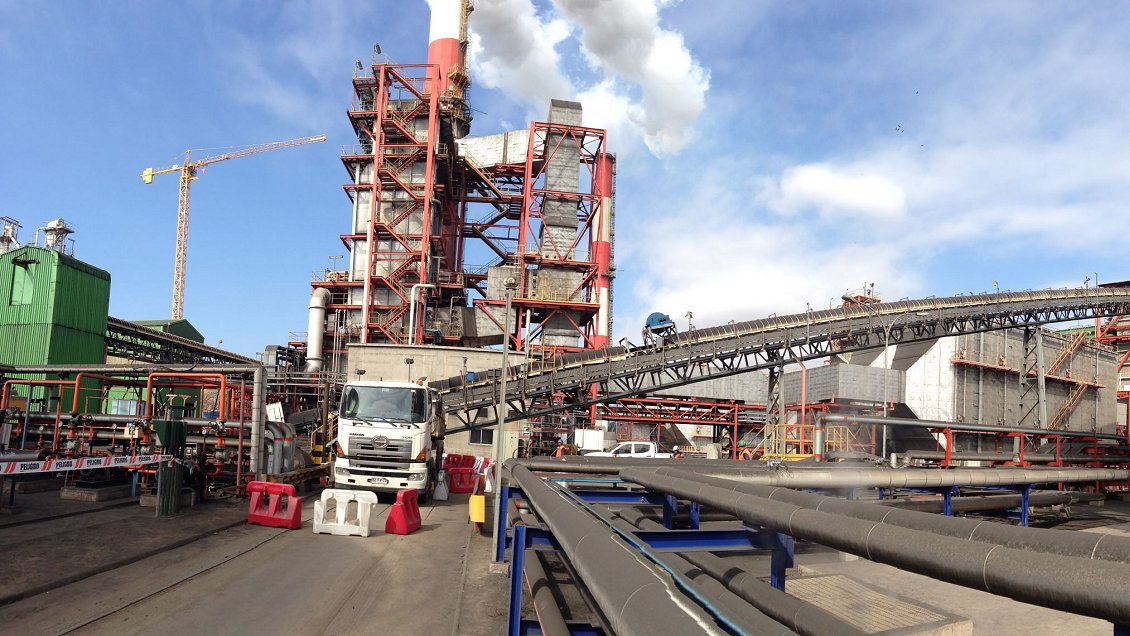 Termoeléctrica Guacolda arriesga multa de 15 mil millones por afectar a animales marinos