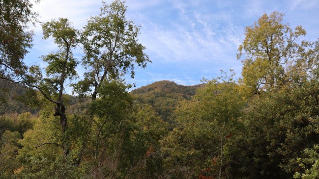 La Región del Maule suma nueva área privada protegida que será conservada a perpetuidad