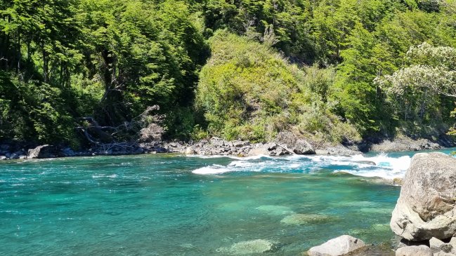 Chile ya tiene su Día Nacional de las Áreas Protegidas