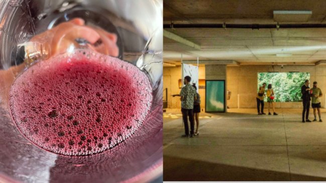   Saturnalia: Evento reunirá vinos, destilados, vinilos y gastronomía 