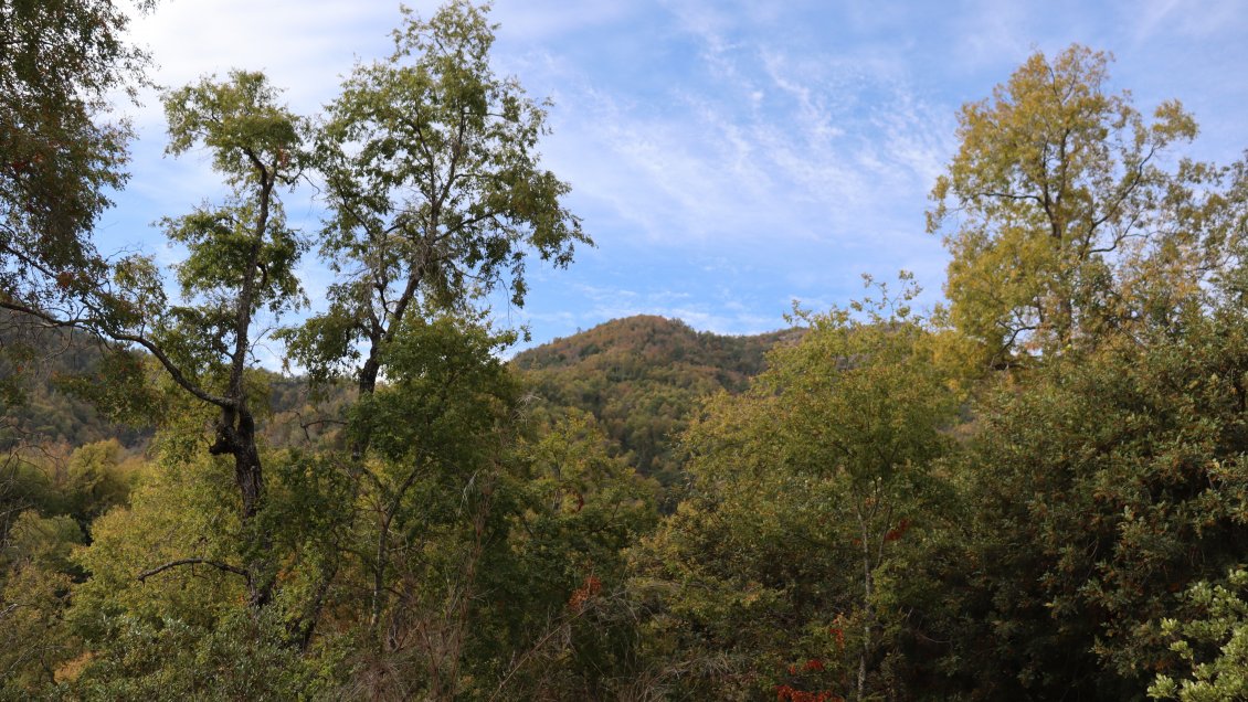 La Región del Maule suma nueva área privada protegida que será conservada a perpetuidad